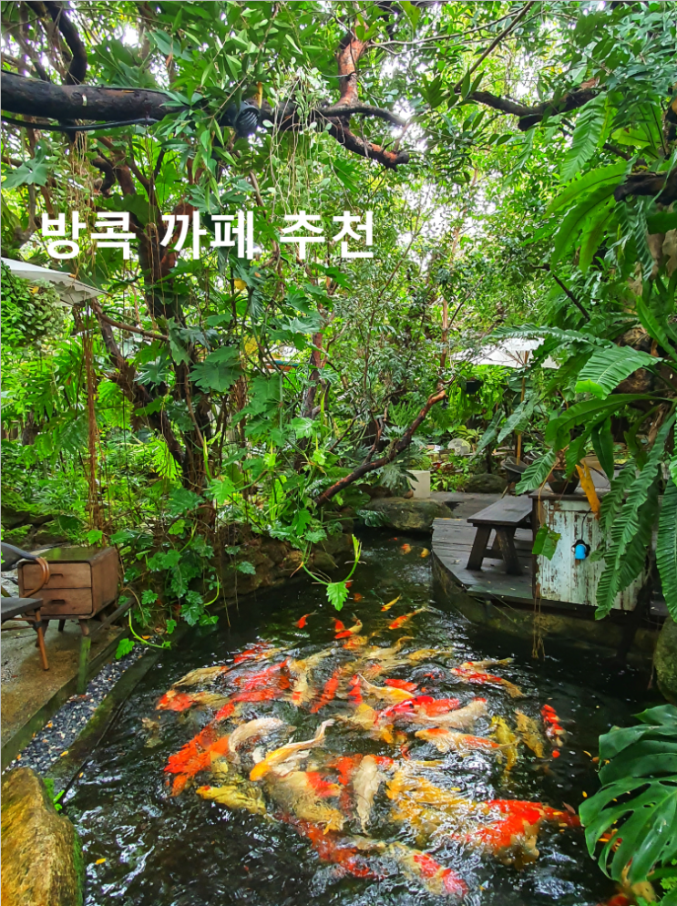  방콕 시내 속 정글 느낌 감성 카페 Baan Suan Sathon