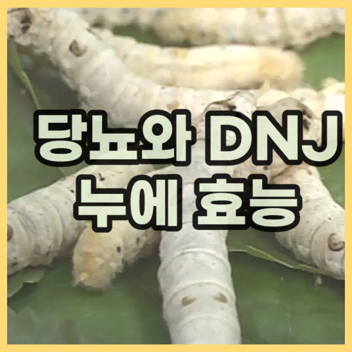  DNJ로 혈당조절을 하는 누에가루, 누에환의 효능