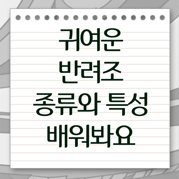  반려조관리사 1급 자격증 전망 핵심 정보 !!! 한국자격검정원