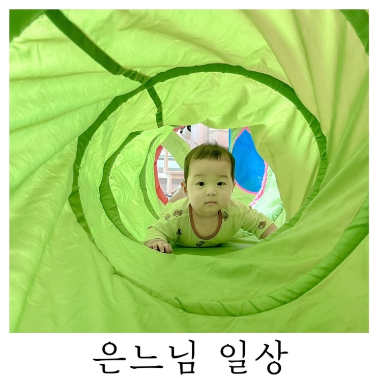  [은느님 일상]우리집 기어다니기 대장