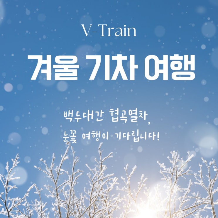  겨울기차여행  백두대간 협곡관광열차 예매tip과 시간표 (분천역~철암역 여행정보)