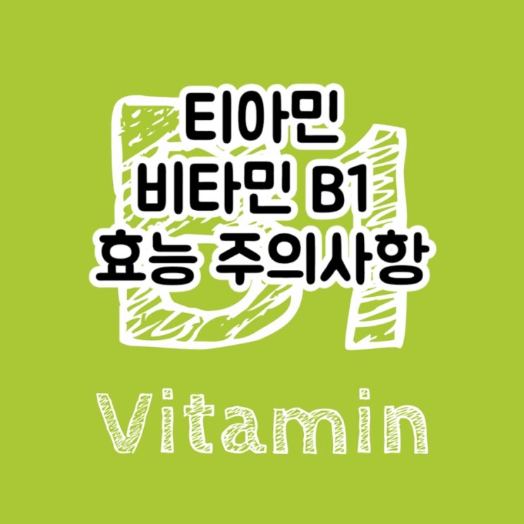  티아민 thiamine 비타민 B1 vitamin B1에 대해 알아보자! (효능 주의사항 함유식품 권장섭취량)