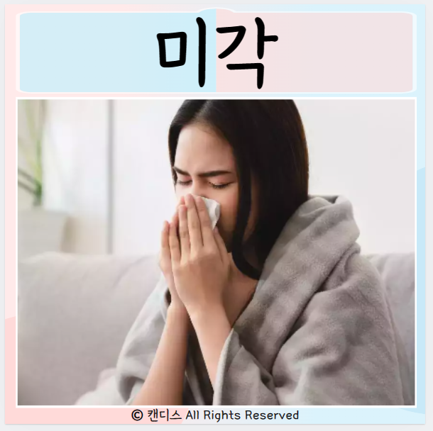 미각상실 맛이 안느껴지는 원인 치료