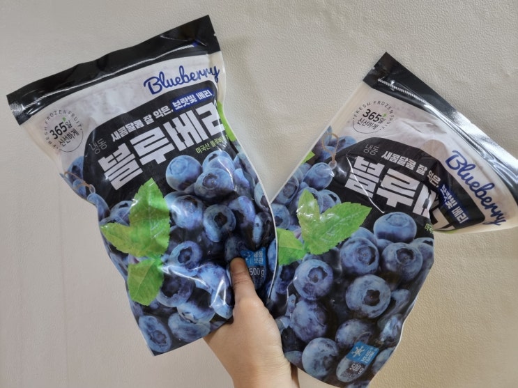  노브랜드 웰팜 새콤달콤 미국산 냉동블루베리