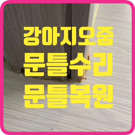 강아지오줌부식된문틀몰딩수리