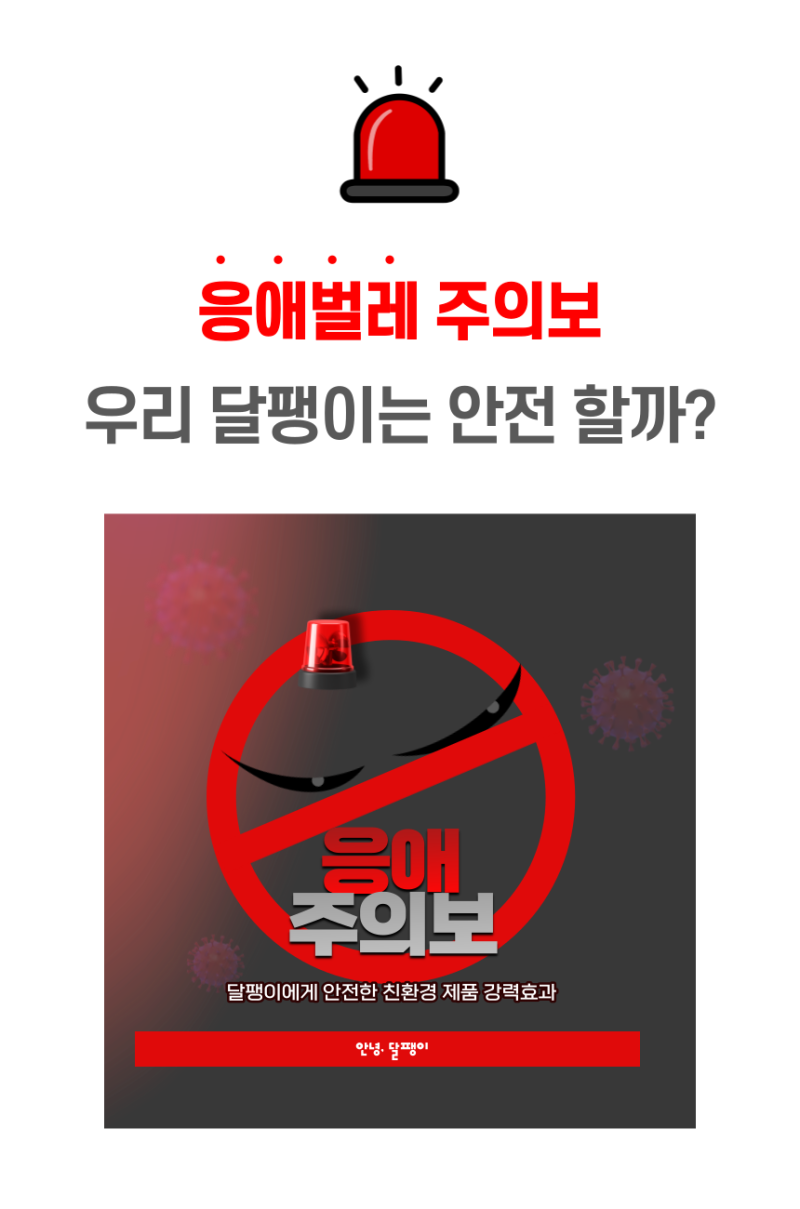애완 달팽이 응애벌레 퇴치법!(응자바)