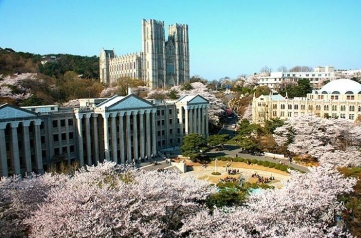 <b>경찰</b>, '음대 입시 비리 의혹' 관련 <b>경희대 압수수색</b>