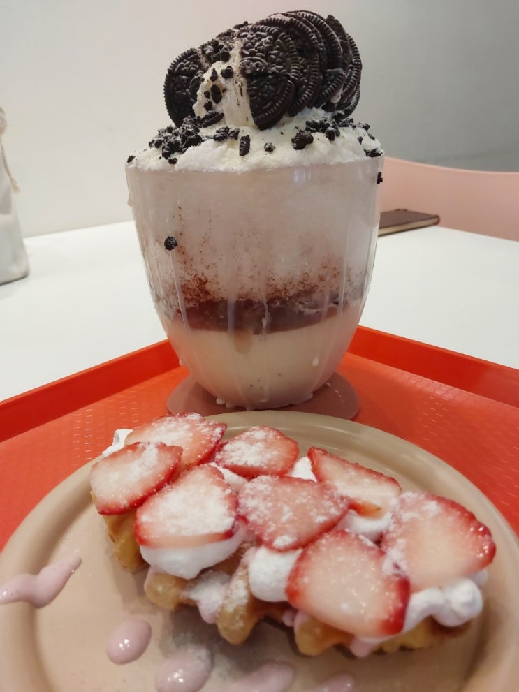 20240123 대전 빙수 '대설' / 충남대 거대 빙수 맛집 후기