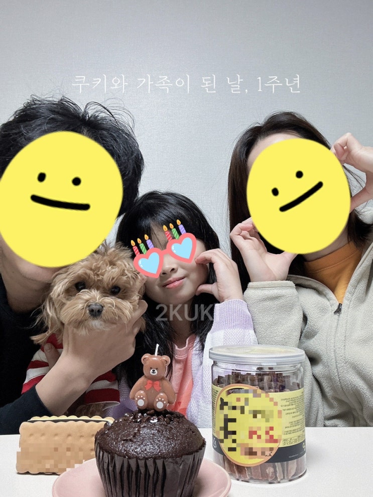  쿠키와 가족이 된 날, 1주년