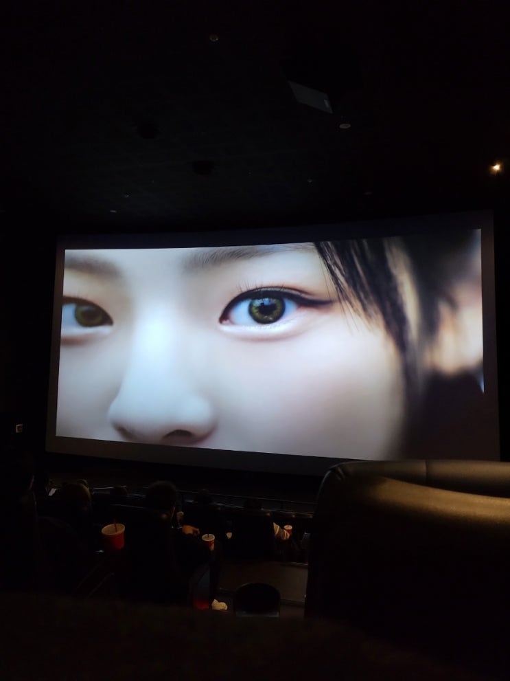  천안 CGV 아이맥스에서 노량 보고 온 날