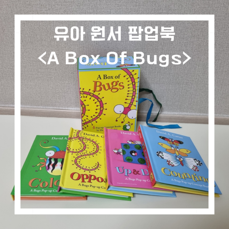 유아 영어원서추천 원서팝업북_<A Box Of Bugs>