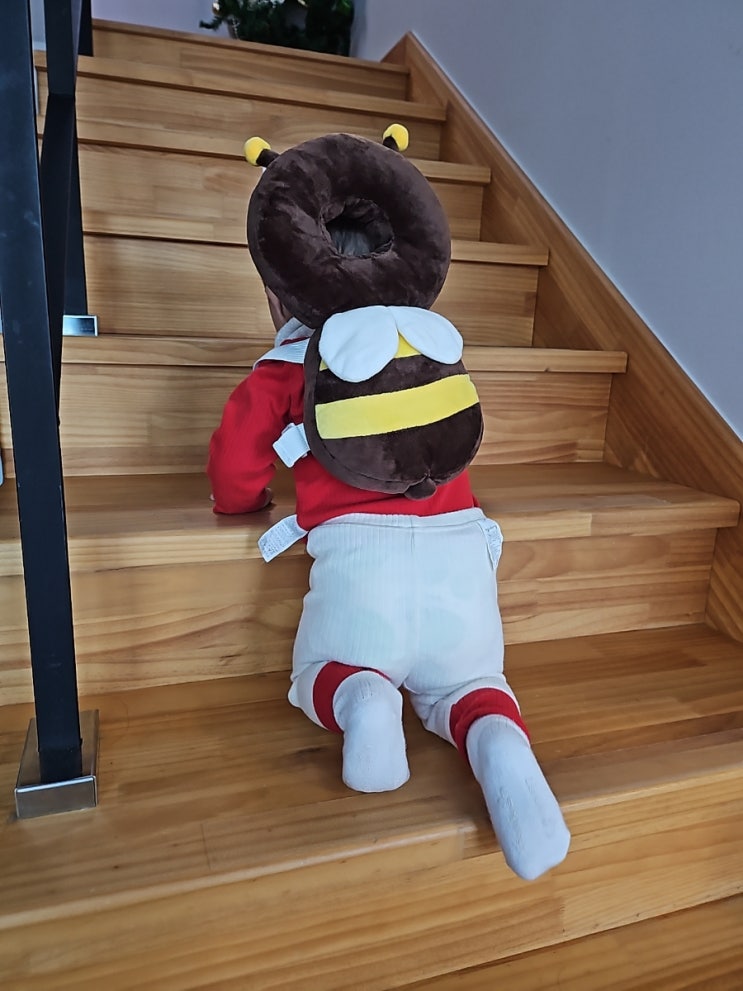  경주키즈풀빌라펜션 포시즌풀빌라