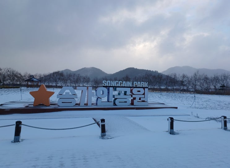 진도 겨울여행 새하얀 눈을 한가득 볼 수 있는 송가인공원