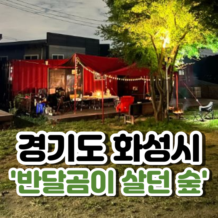  화성 캠핑장 아이들이 좋아하는 반달곰이 살던 숲! 다양한 놀이,이벤트가 많아요!