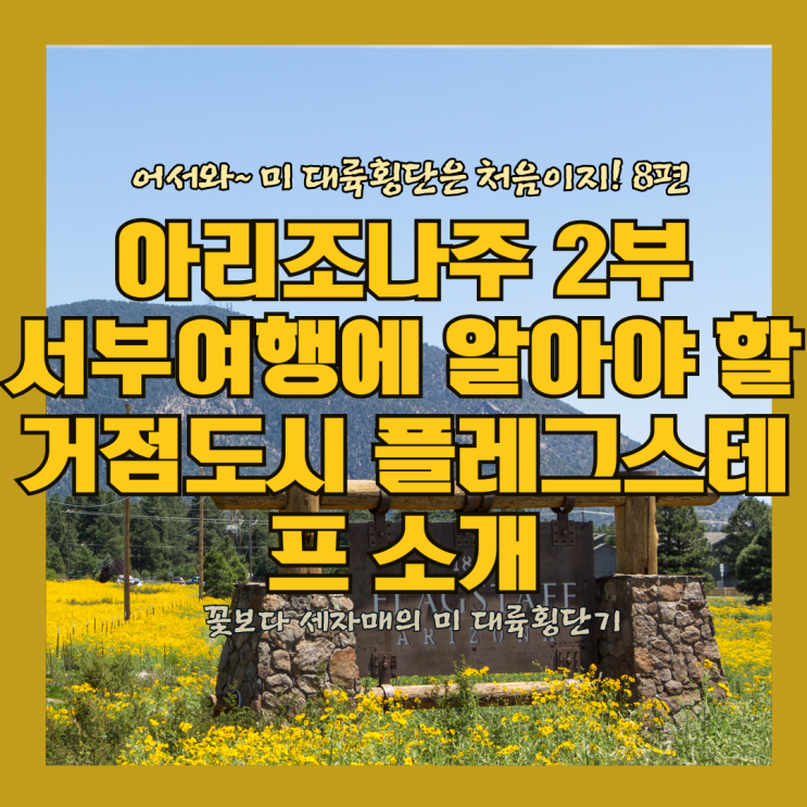  미대륙횡단은 처음이지 8편 애리조나 2부  트래킹 코스 코코니노 국유림   플레그스테프  AZ state Route 89A