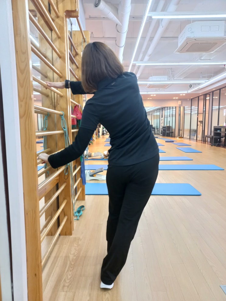  성조숙증 치료와 척추측만증 교정치료를 병행한 청소년 척추측만증 환자의 치료 사례