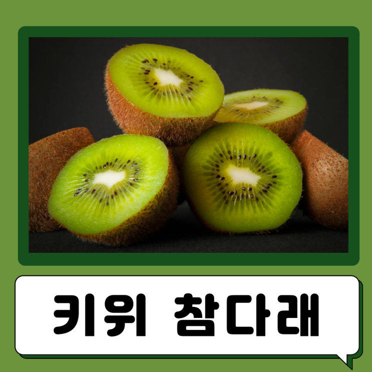  참다래 키위 효능 부작용 칼로리 키위 종류 골드키위 레드키위 그린키위