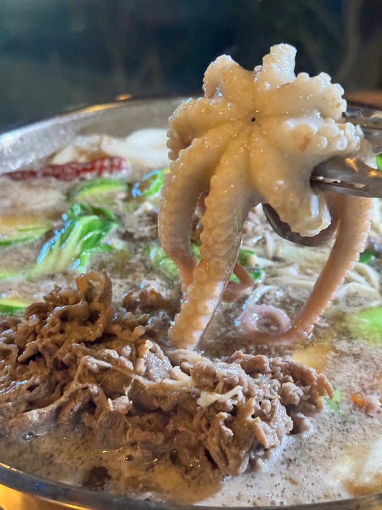  잠실 송리단길 맛집 연주방 불고기낙지전골이 맛있는 석촌호수 애견동반식당 주차팁