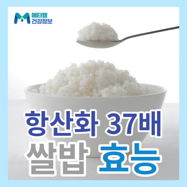 항산화 37배 높여주는 쌀밥 건강하게 먹는 방법 꿀팁, 영양성분과 칼로리 같이 먹으면 좋은 귀리,기장,수수의 효능까지 알아봐요