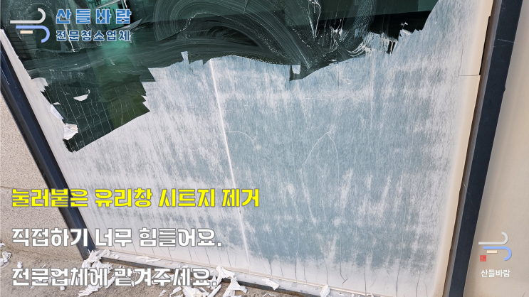  상가 유리 시트지 제거, 눌러붙은 유리 시트지 제거 어떻게 해야할까?