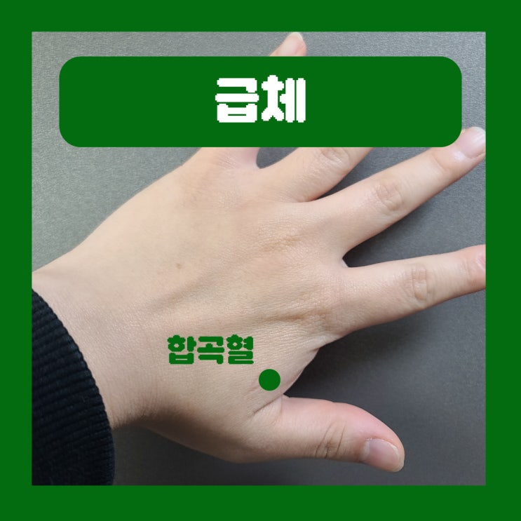  급체 증상 체했을때 손지압 해결 방법