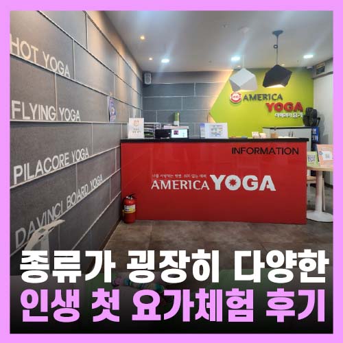  용산요가 학원 프로그램이 다양한 아메리카 요가
