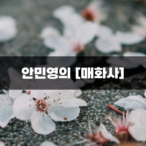 안민영의 [매화사]