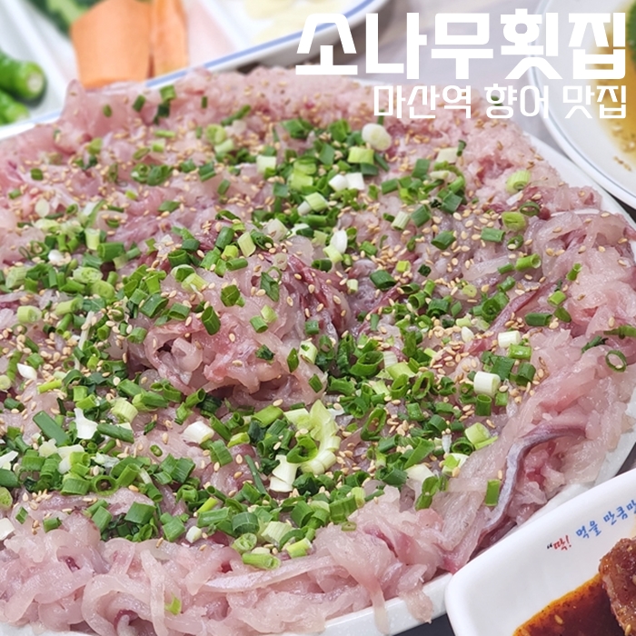  마산역 향어 맛집인 소나무횟집 내 돈 내 먹 간단한 후기