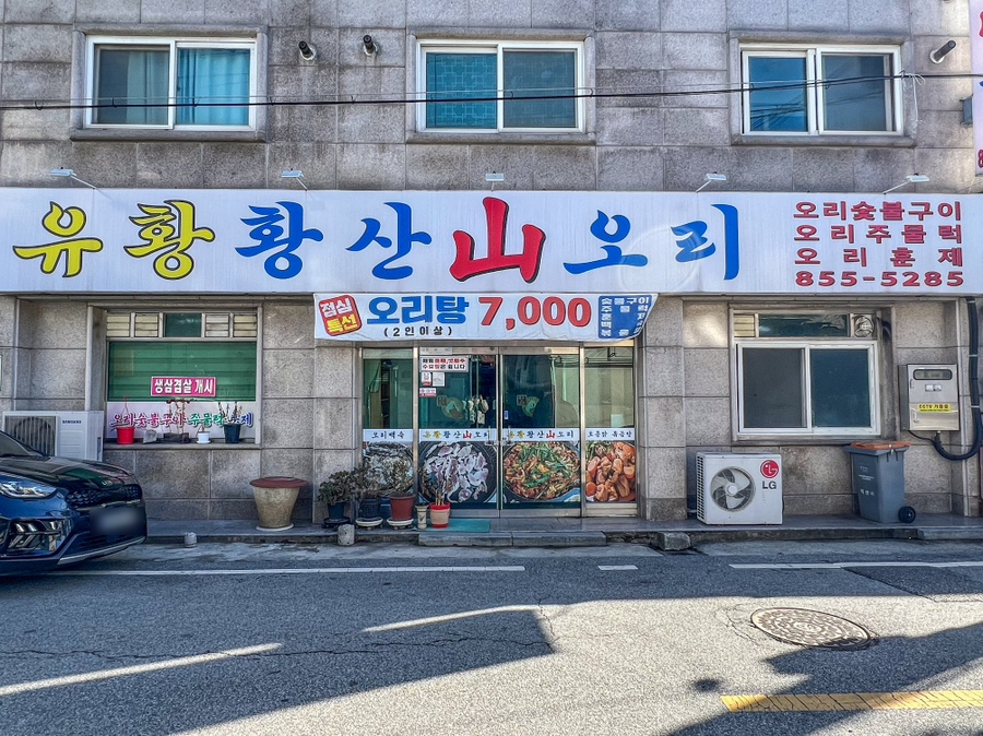 황산산오리 사진 2