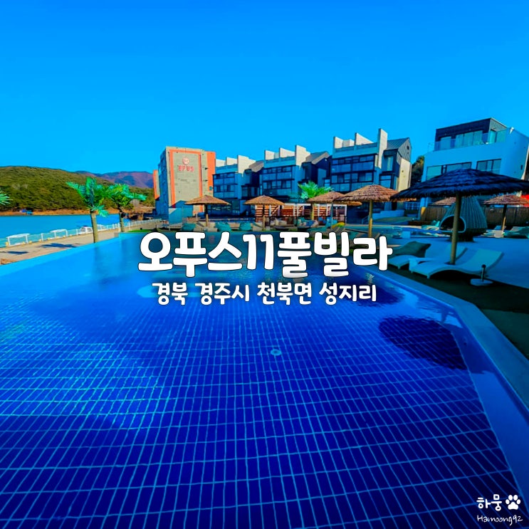  경주펜션 추천! 애견동반 온수풀장 독채감성숙소 오푸스11풀빌라