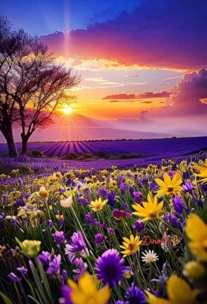   오늘의 생활정보 (2024-01-24, 수)