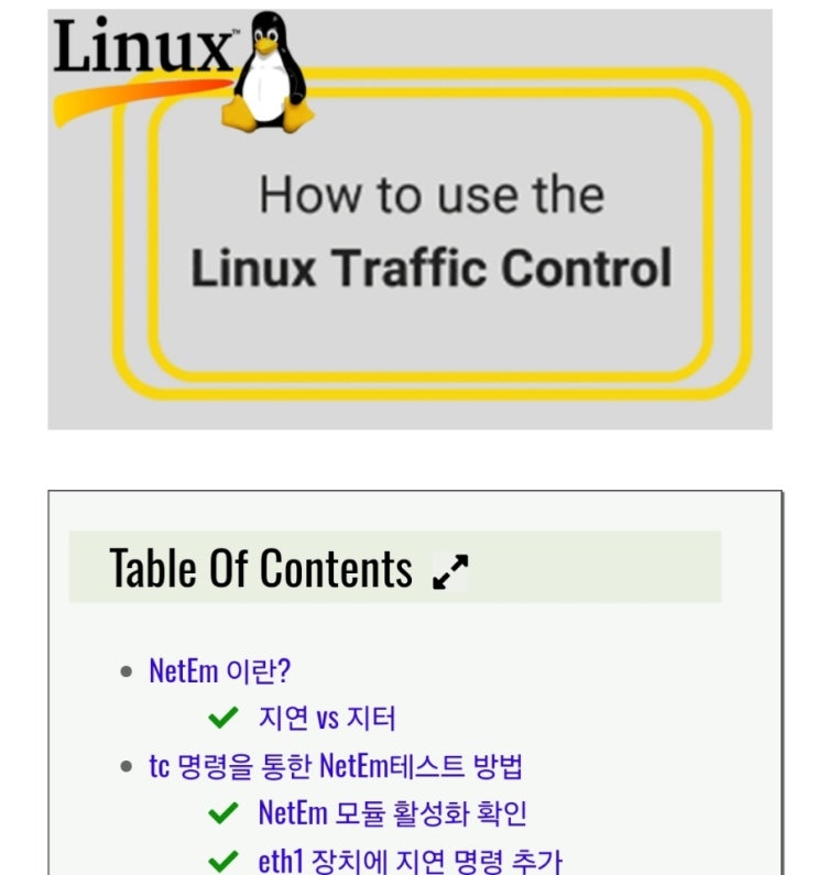  리눅스에서 NetEm(Network Emulator)를 사용하여 Traffic Control(패킷 지연,유실,대역폭 제한등)하고 테스트 하는 방법