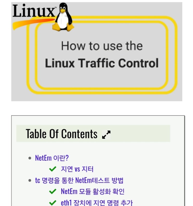 리눅스에서 NetEm(Network Emulator)를 사용하여 Traffic Control(패킷 지연,유실,대역폭 제한등)하고 테스트 하는 방법