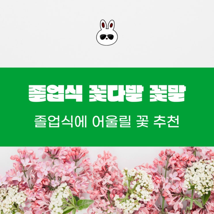  졸업식 입학식에 어울리는 꽃과 꽃말 추천