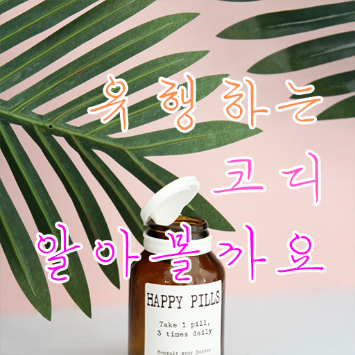  퍼스널 컬러 컨설턴트 전문가자격증 진로 정리해봤어요 .
