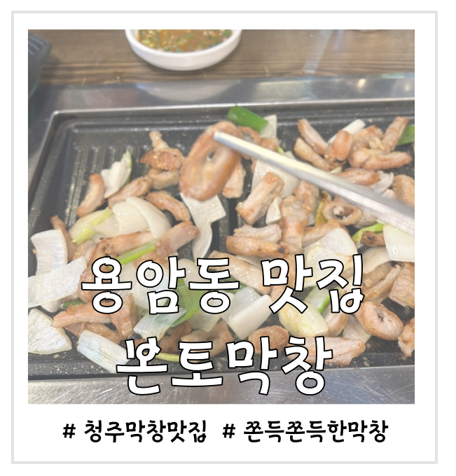  [용암동 맛집] 본토막창