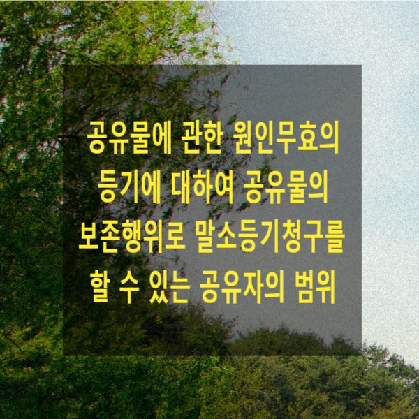  공유물에 관한 원인무효의 등기에 대하여 공유물의 보존행위로 말소등기청구를 할 수 있는 공유자의 범위
