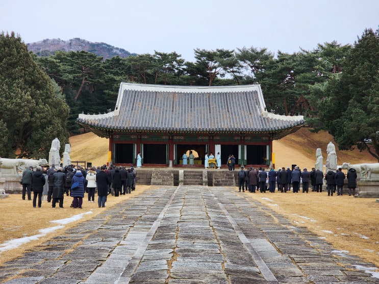 남양주 홍릉 고종황제 제105주기 친향례 주요사진 등