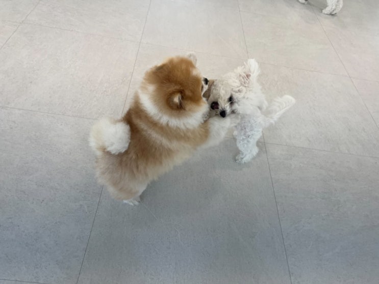  유치원 적응완료