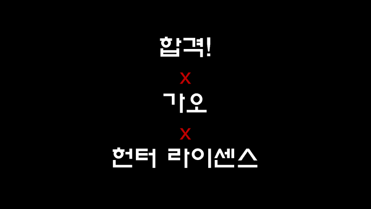 [헌터시험 후기] 합격! x 가오 x 헌터 라이센스
