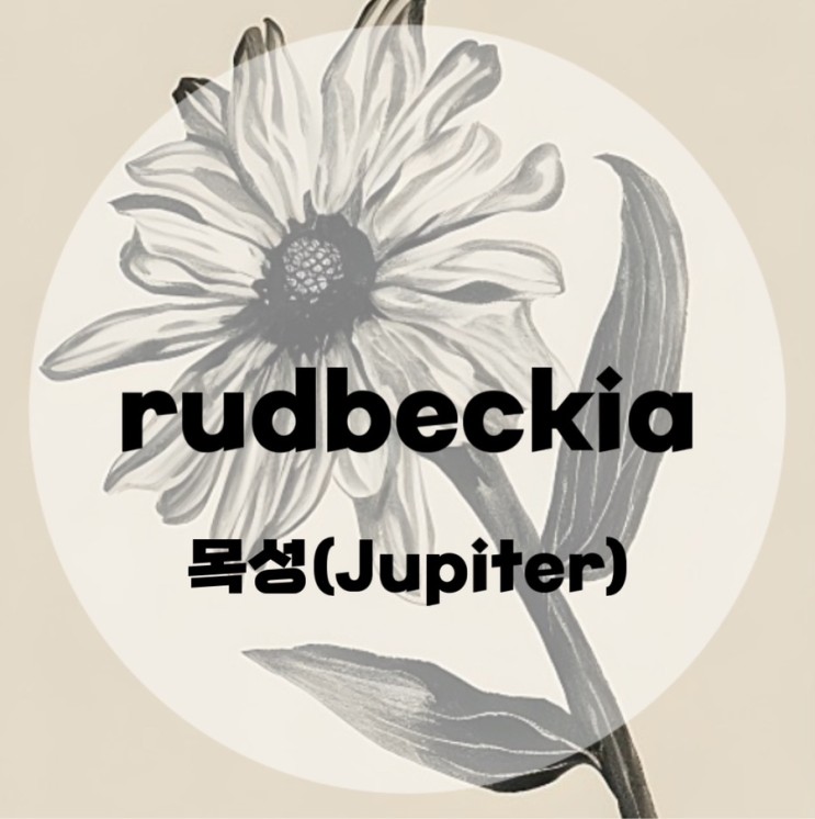 : rudbeckia : 목성(Jupiter) (가사/듣기/MV)