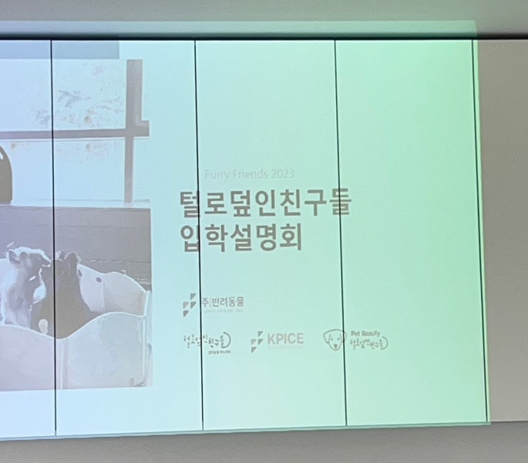 강아지 유치원