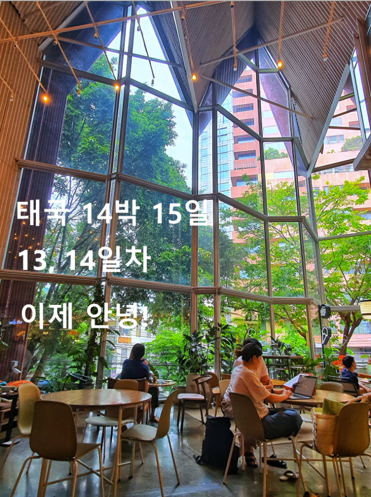  태국 14박 15일 13,14일차 사톤 정글 카페 Baan Suan Sathon  시민문화회관 theCOMMOMS Saladeang 치킨라이스 Kuang Heng Pratu Nam 출국