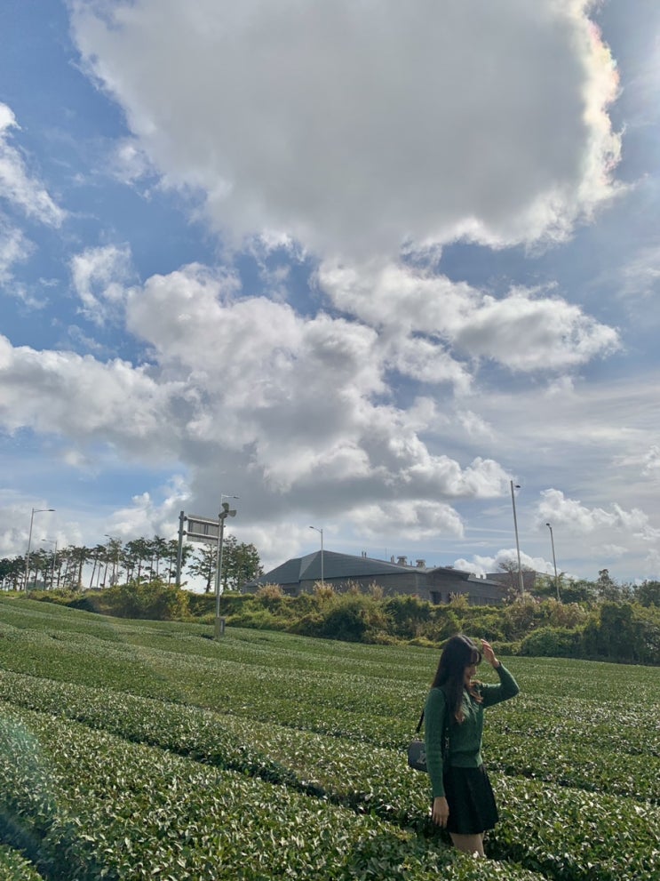  [Jeju ] 내돈내산. 모두가 알았으면 하는 서귀포 올레시장 고기국수 맛집, 고씨네 천지국수. 또 먹으러 가고 싶다…