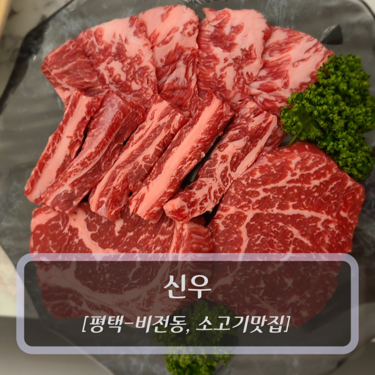  [평택-비전동, 소고기구이] 신우 - 평택 소고기 맛집