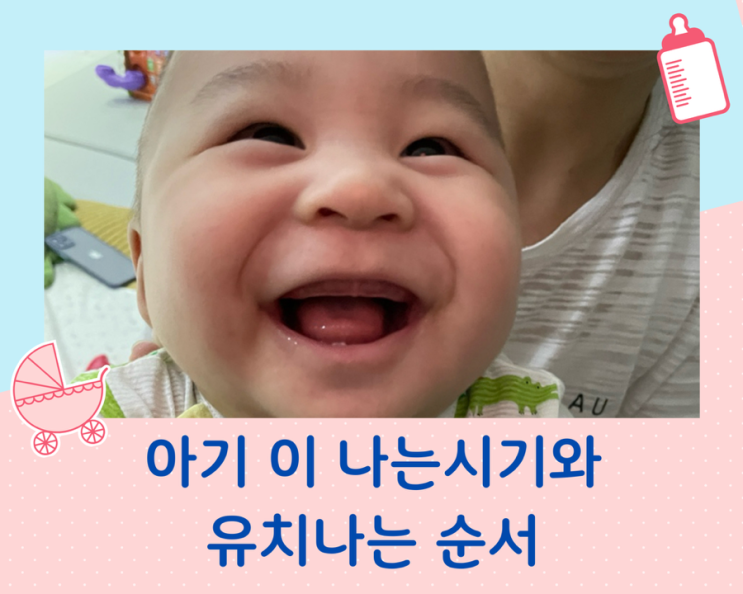  아기 이 나는 시기와 유치 나오는 순서
