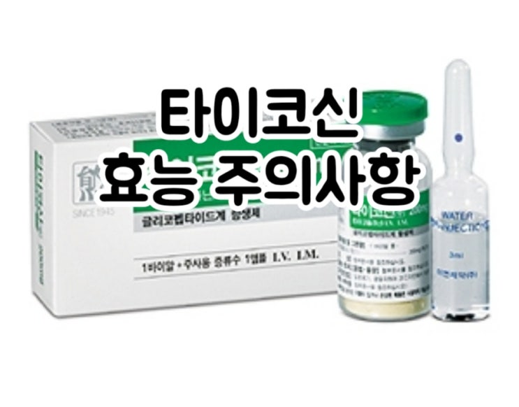  타이코신 주 테이코플라닌 Teicoplanin 에 대해 알아보자!(효능 용법 부작용 주의사항 임부 수유부)