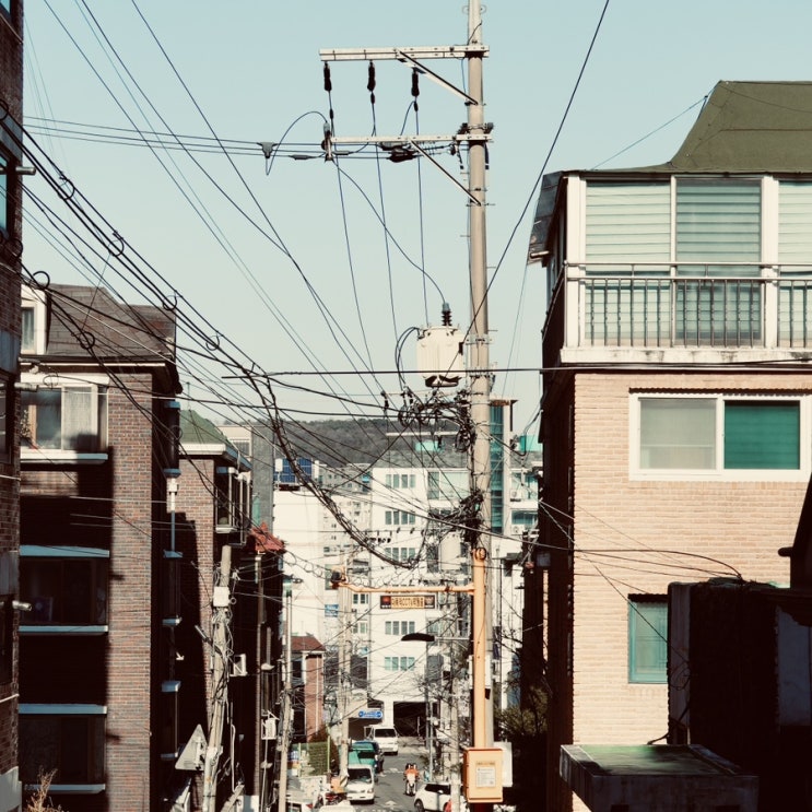  조금 따뜻해진 어느 날의 산책