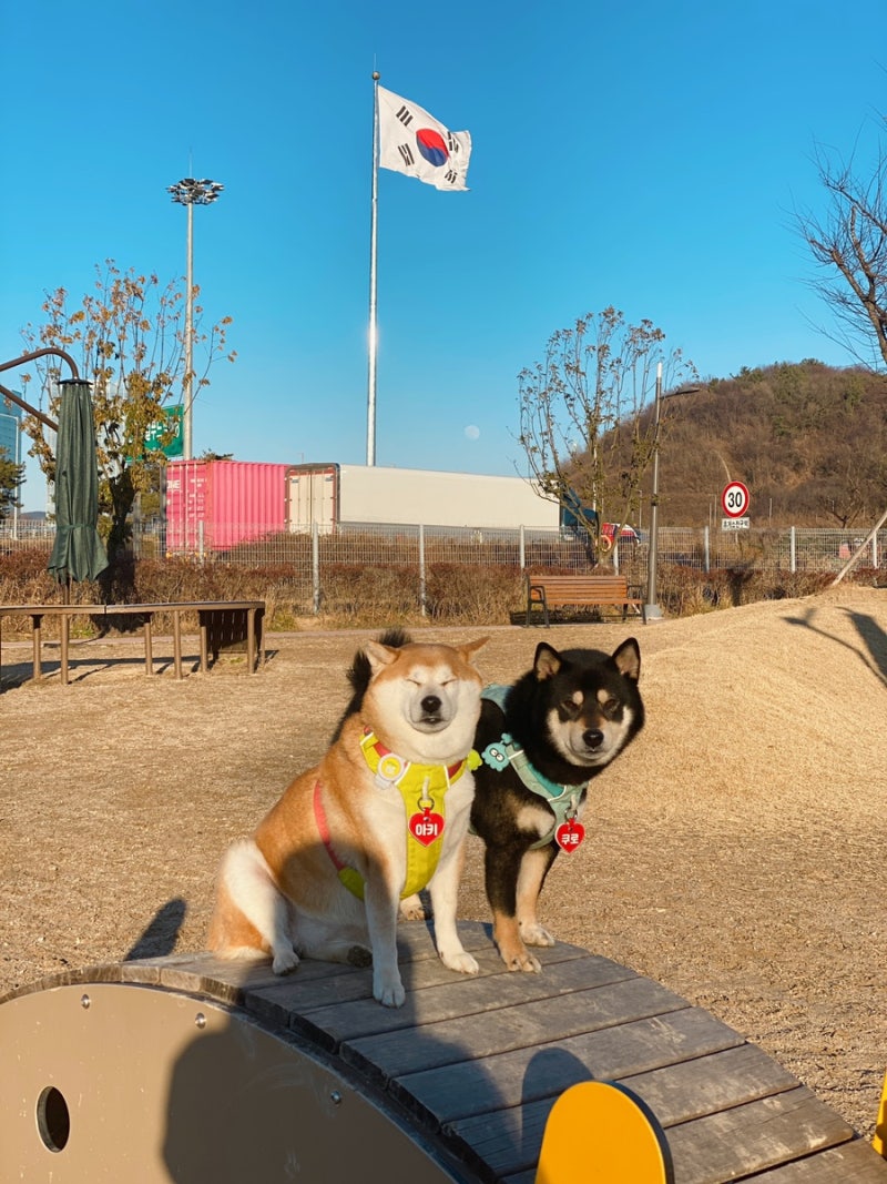 진주휴게소반려견놀이터
