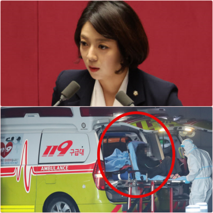 <b>배현진 피습</b> 사건 둔기로 뒤통수 가격 범인 나이 신상 프로필... 